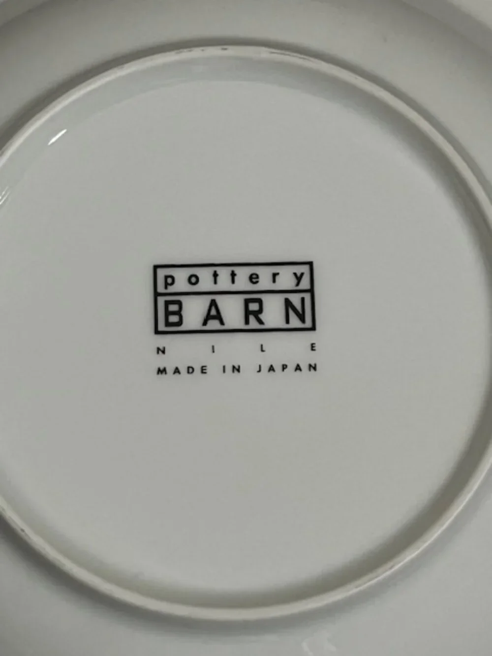 Pottery Barn Nile Shallow Bowl